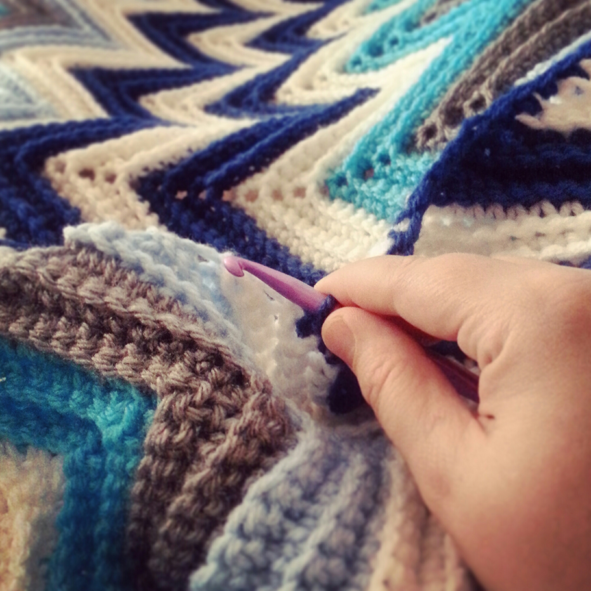 IMG_20150417_122228.jpg image